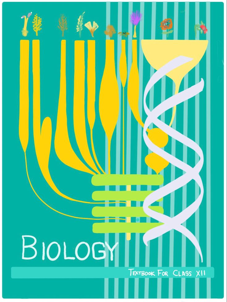 NCERT Biology Class 12
